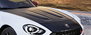 bonnet
